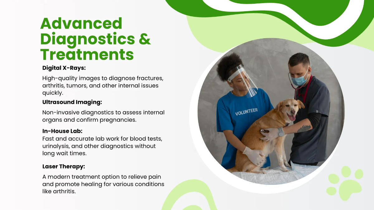 Free Veterinary Clinic Presentation Template to Edit Online