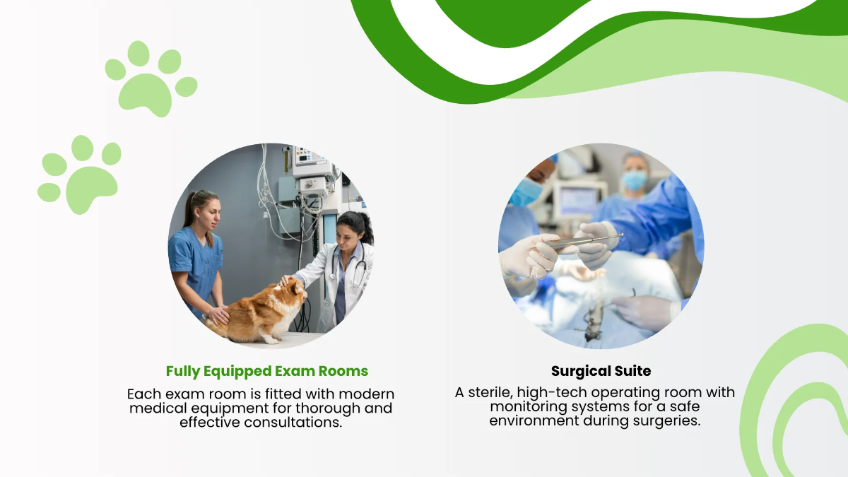 Free Veterinary Clinic Presentation Template to Edit Online