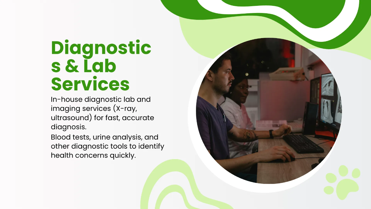 Free Veterinary Clinic Presentation Template to Edit Online