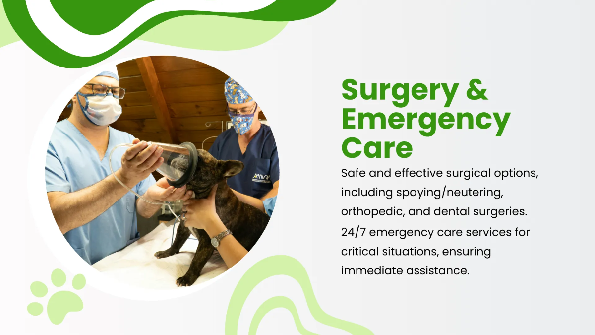 Free Veterinary Clinic Presentation Template to Edit Online