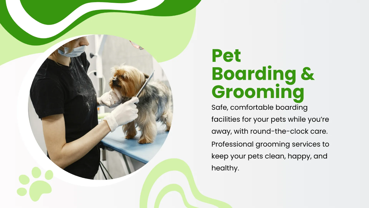 Free Veterinary Clinic Presentation Template to Edit Online