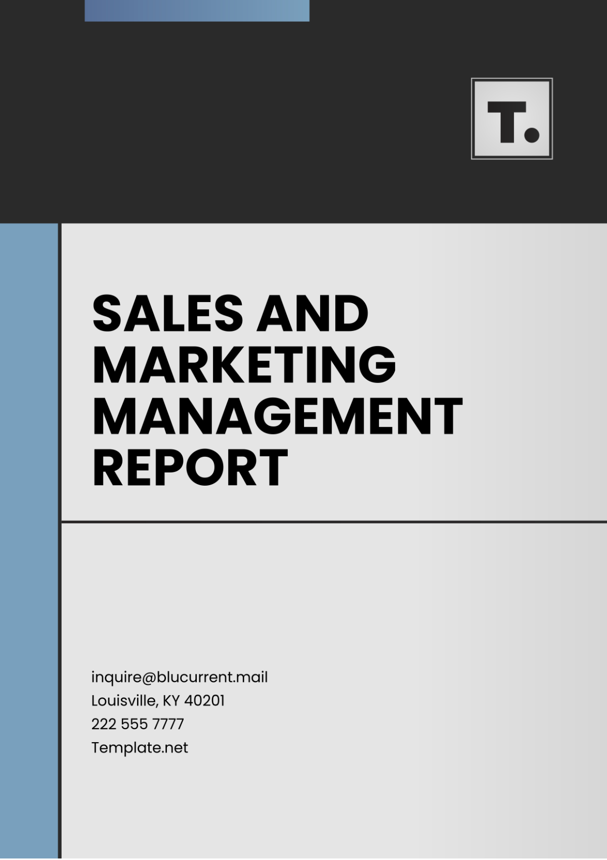 Sales and Marketing Management Report Template - Edit Online & Download