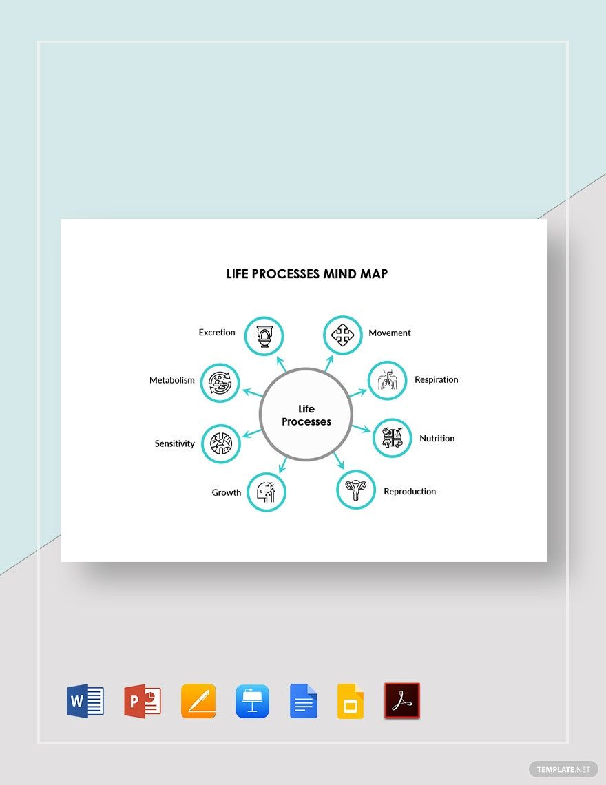 Life Processes Mind Map Template