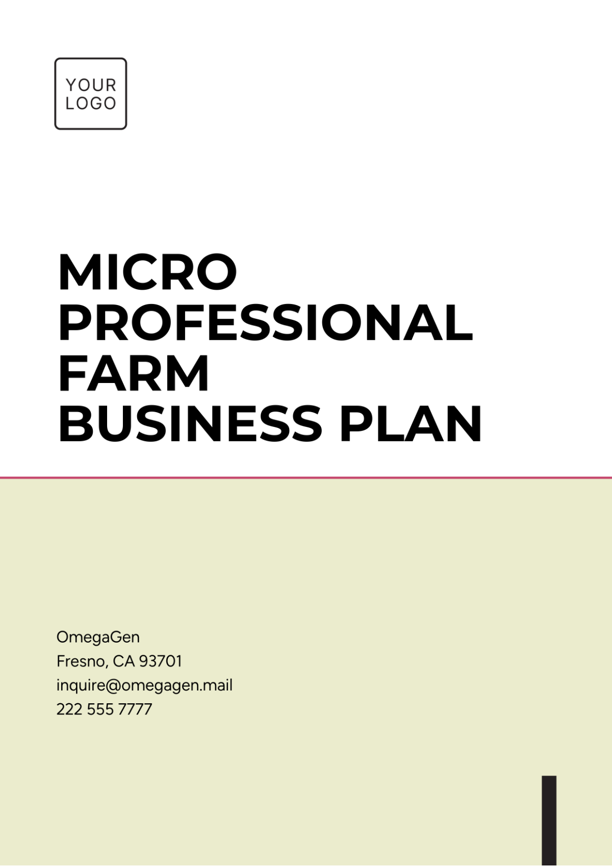 Micro Professional  Fram Business Plan Template