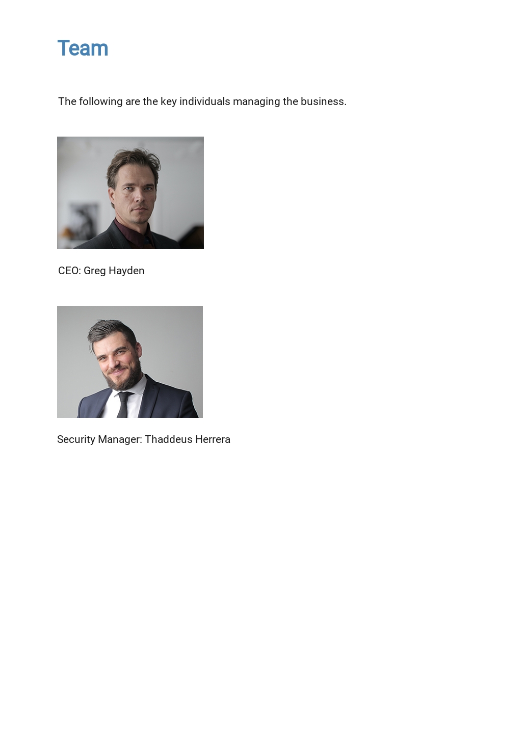 IT Security Business Plan Template Free PDF Google Docs Word