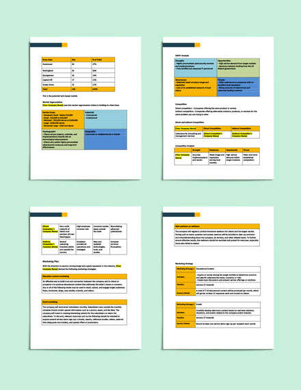Business Plan Template For Security Company