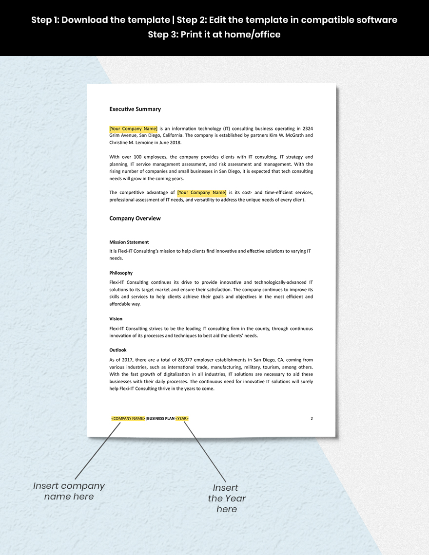IT Consulting Business Plan Template