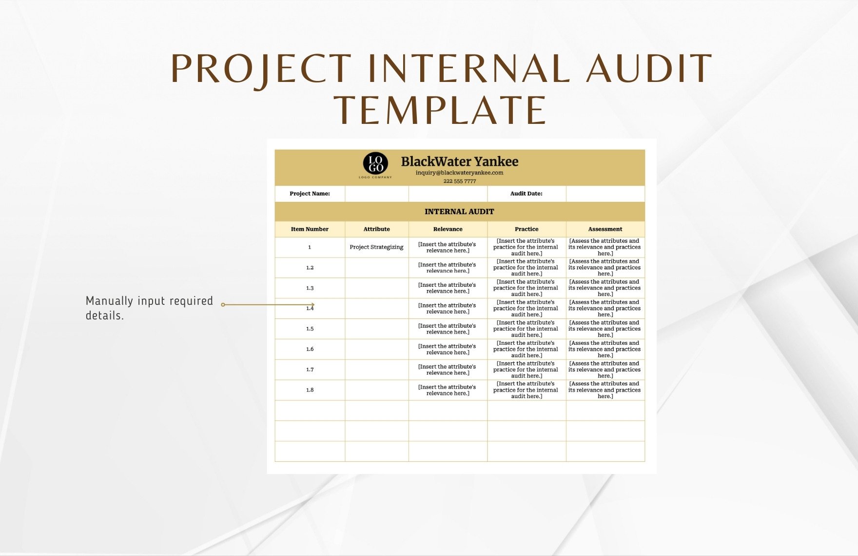 Project Internal Audit Template