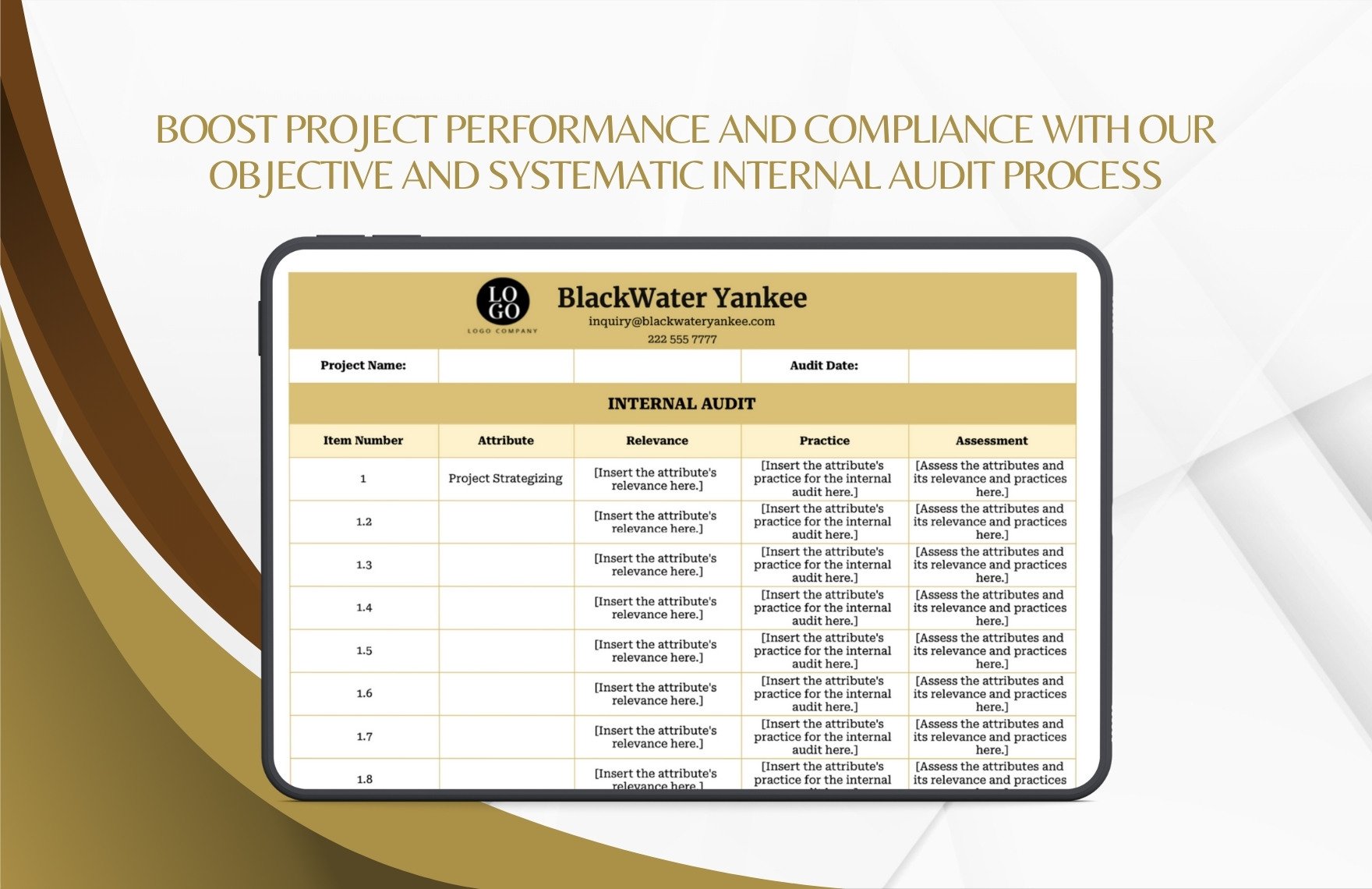 Project Internal Audit Template