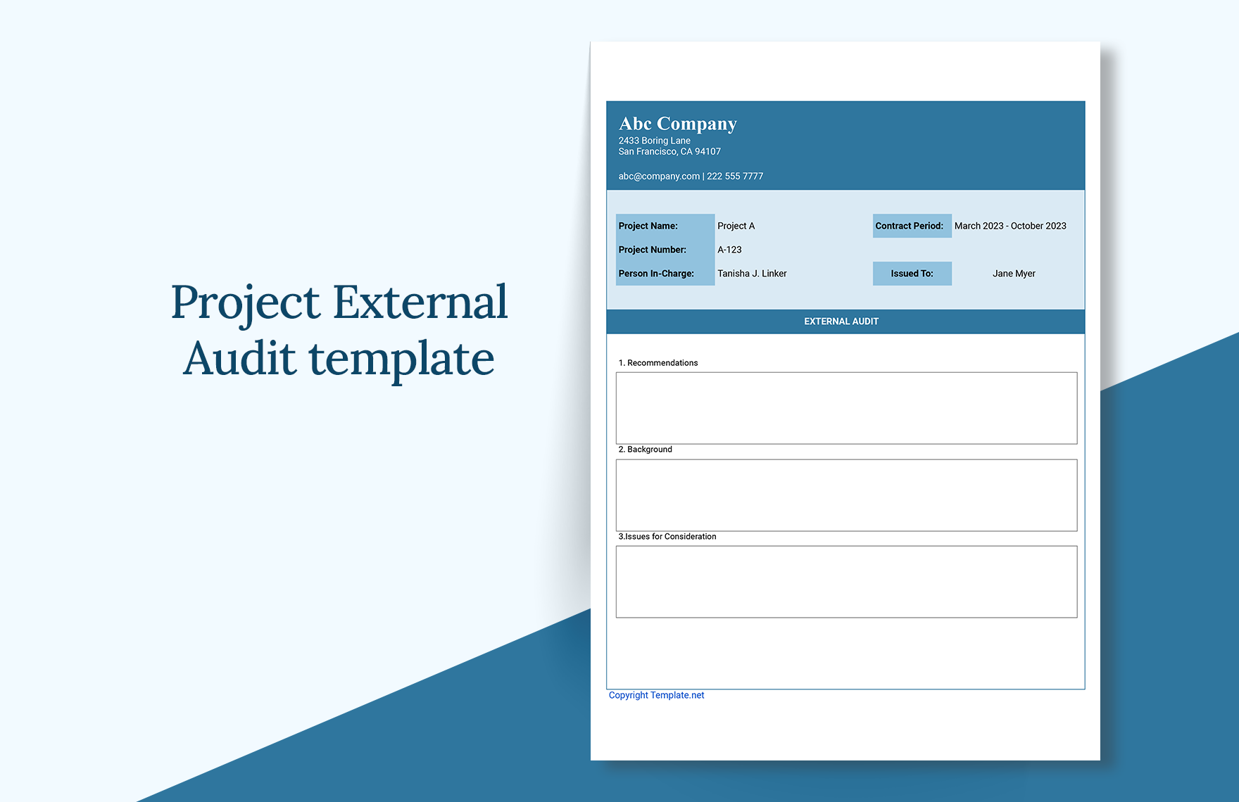 Project External Audit Template