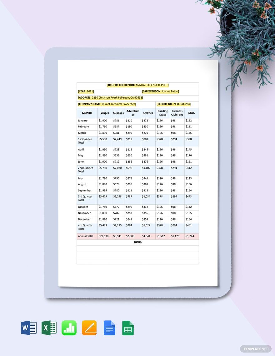 Free Yearly Expense Report Template
