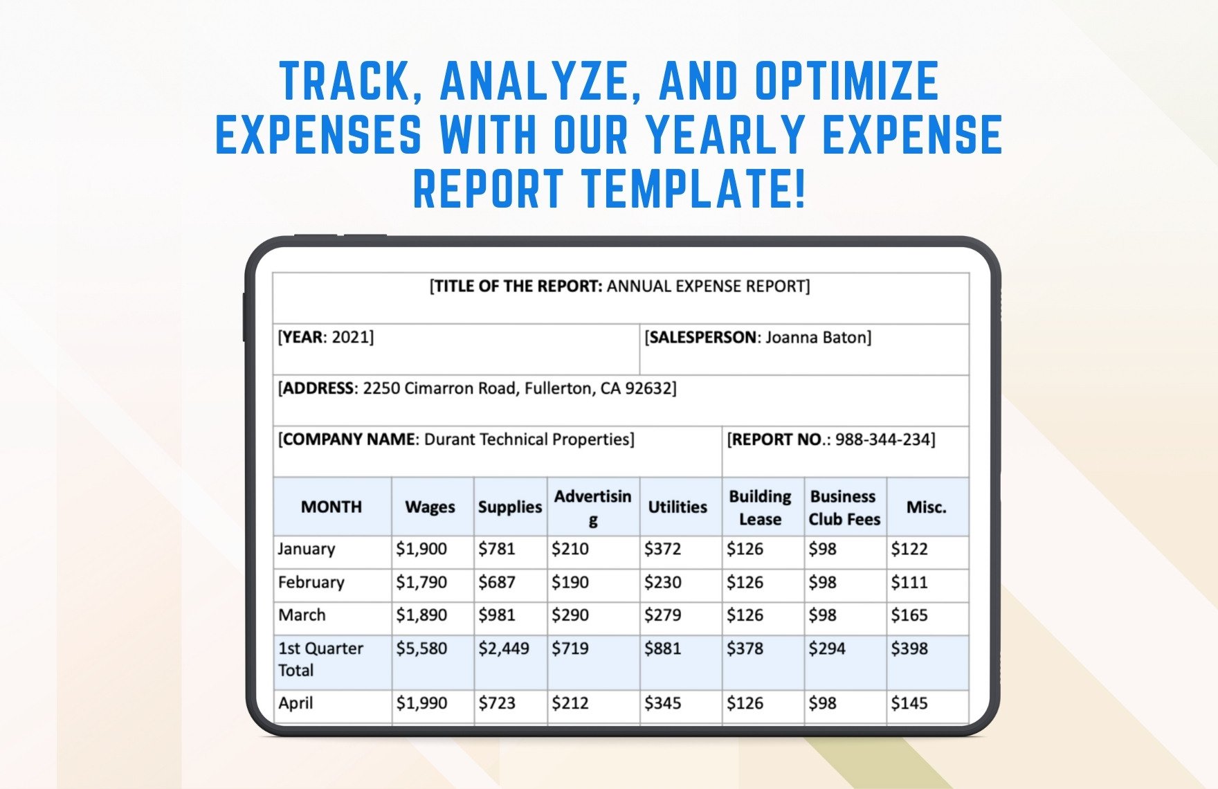 Yearly Expense Report Template