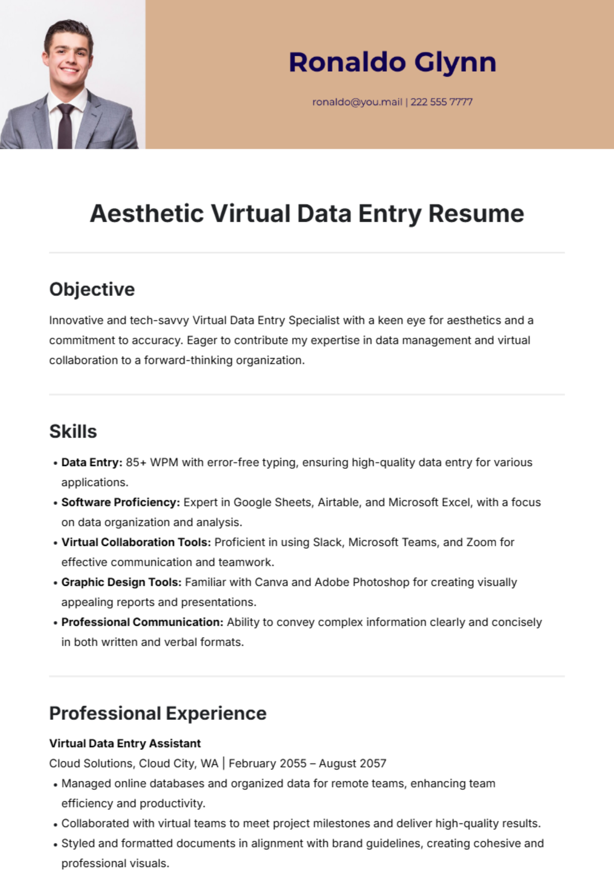 Aesthetic Virtual Data Entry Resume Template