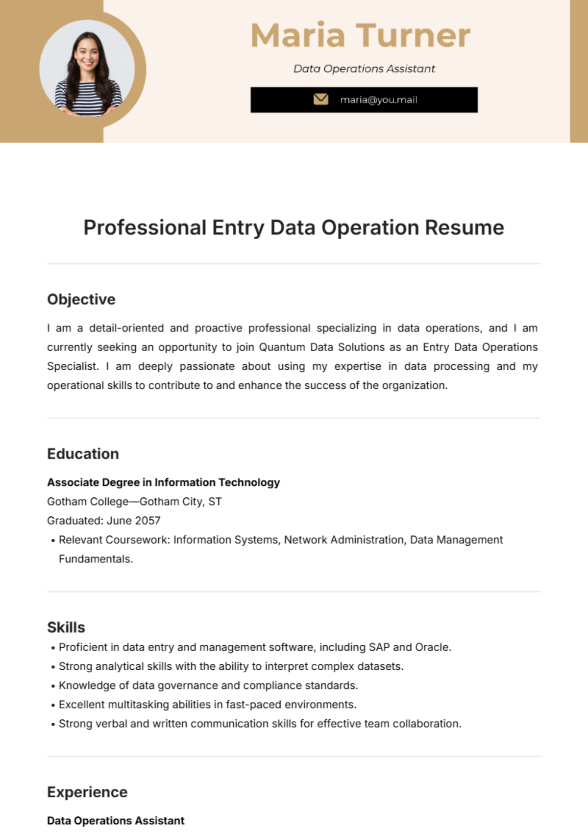 Professional Entry Data Operation Resume Template