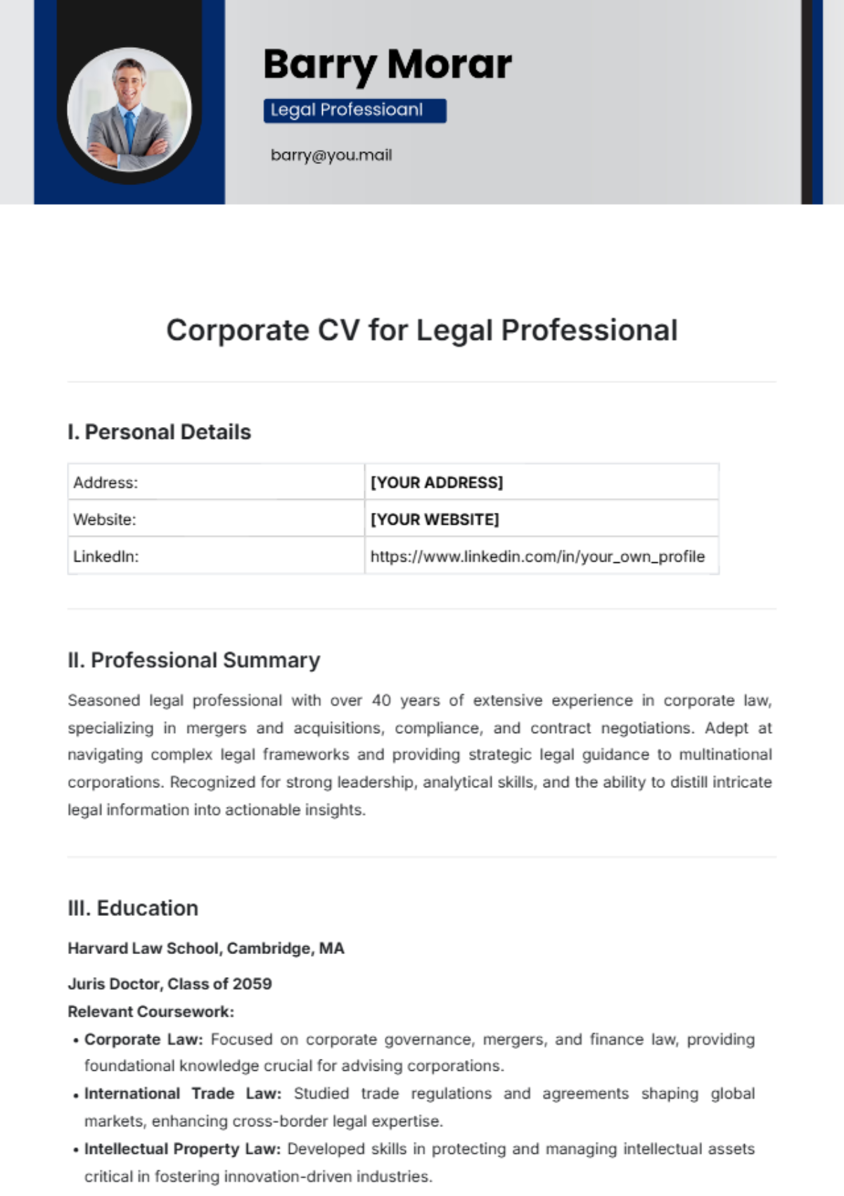 Corporate CV for Legal Professional Template