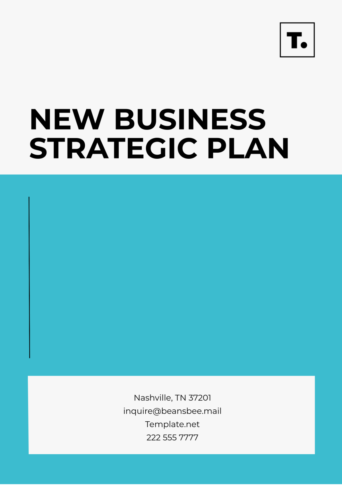 New Business Strategic Plan Template