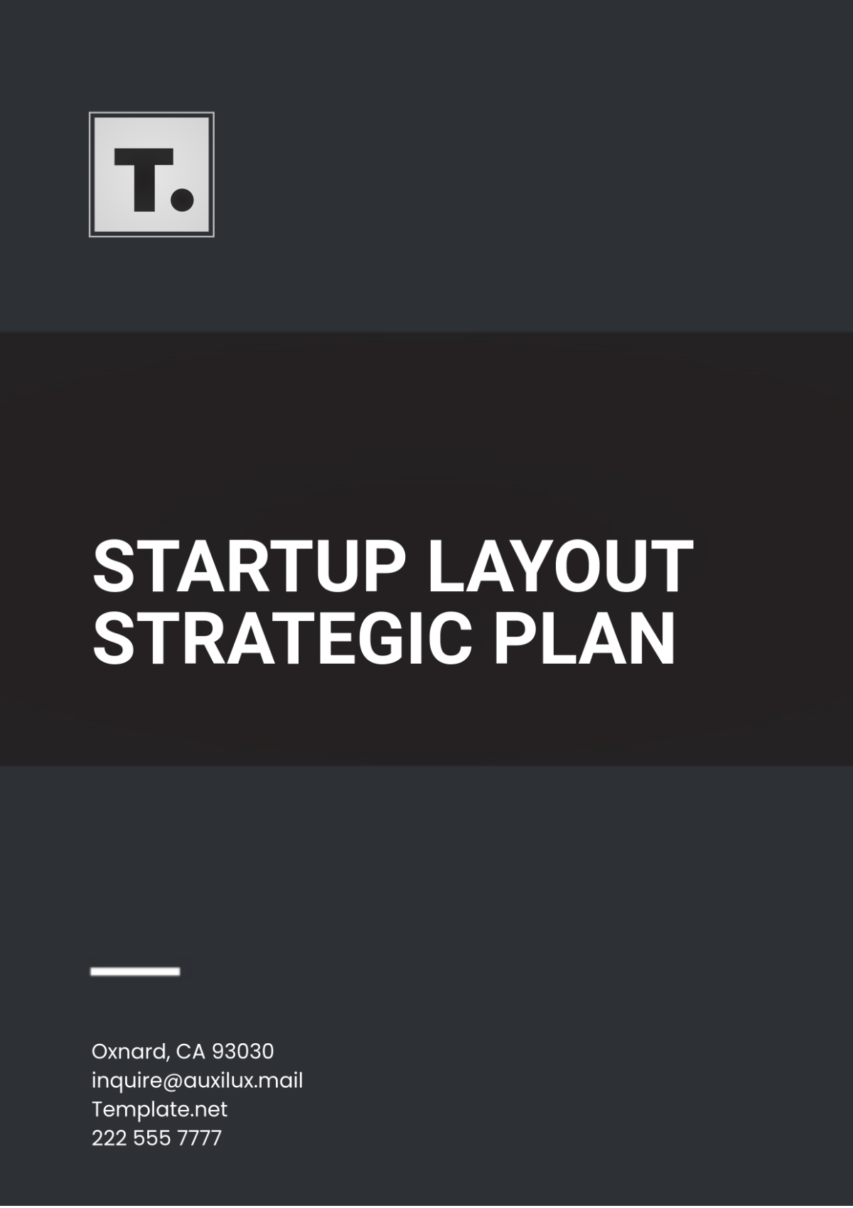 Startup Layout Strategic Plan Template - Edit Online & Download