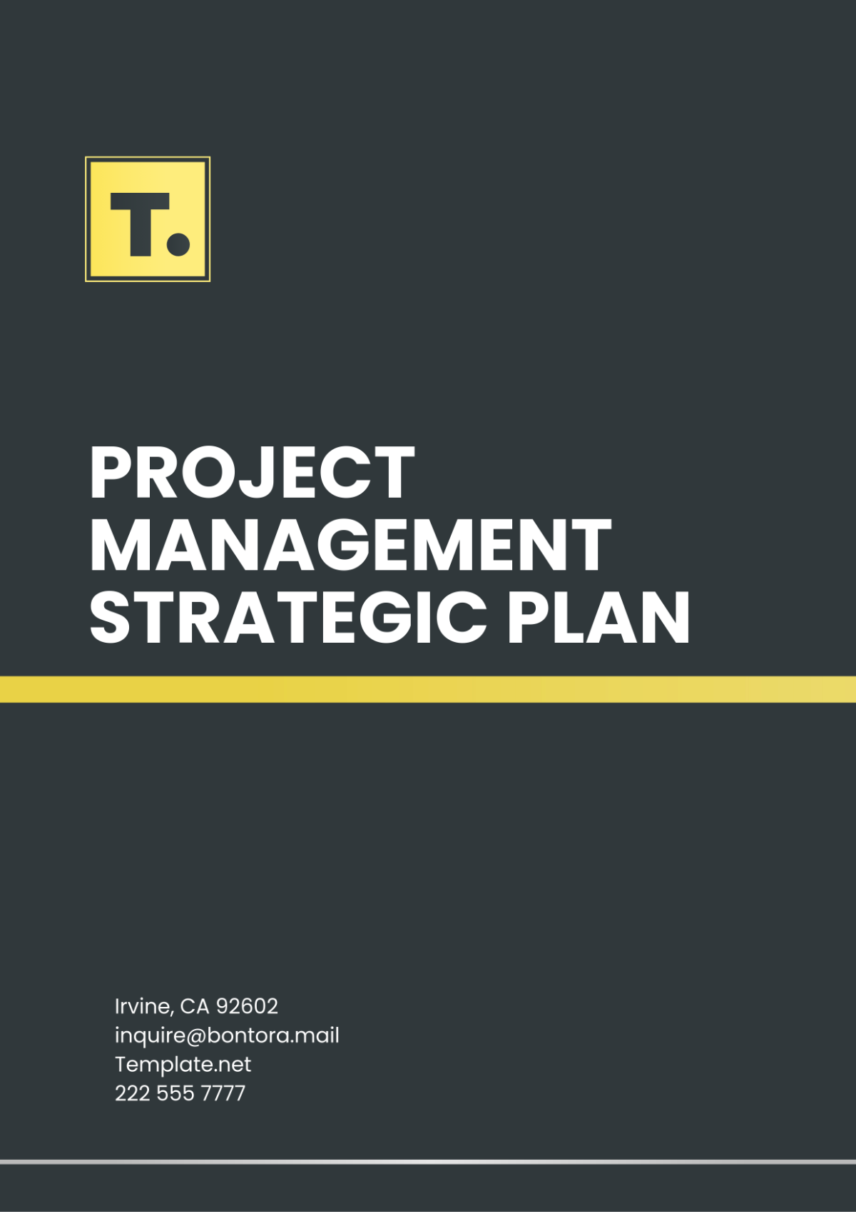 Project Management Strategic Plan Template - Edit Online & Download