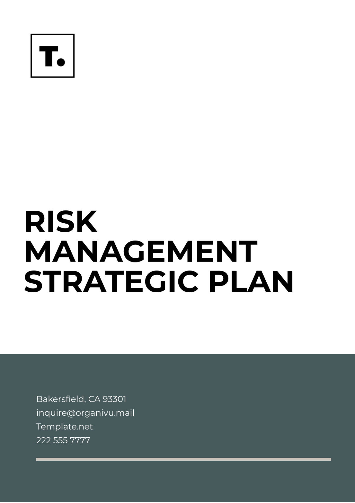 Risk Management Strategic Plan Template - Edit Online & Download