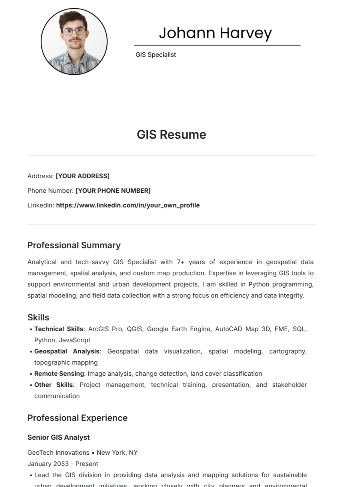 GIS Resume Template