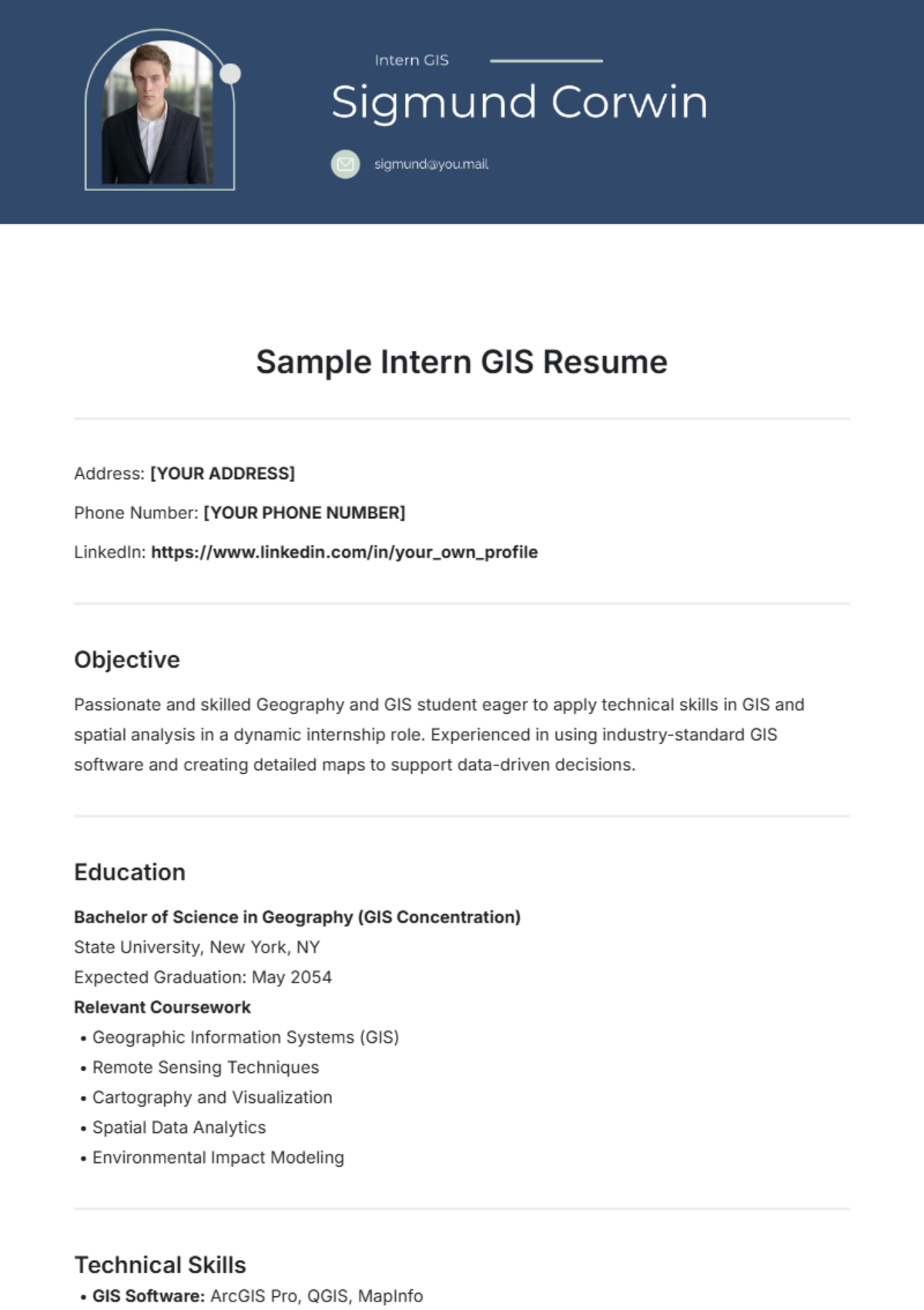 Sample Intern GIS Resume Template