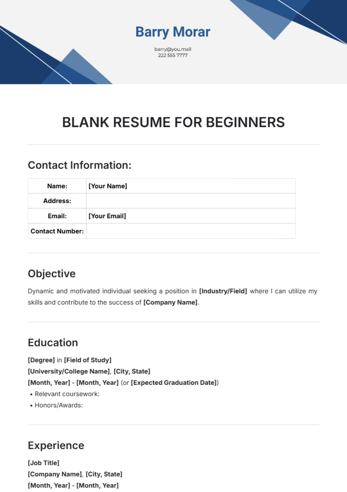 Blank Resume Template for Beginners Template