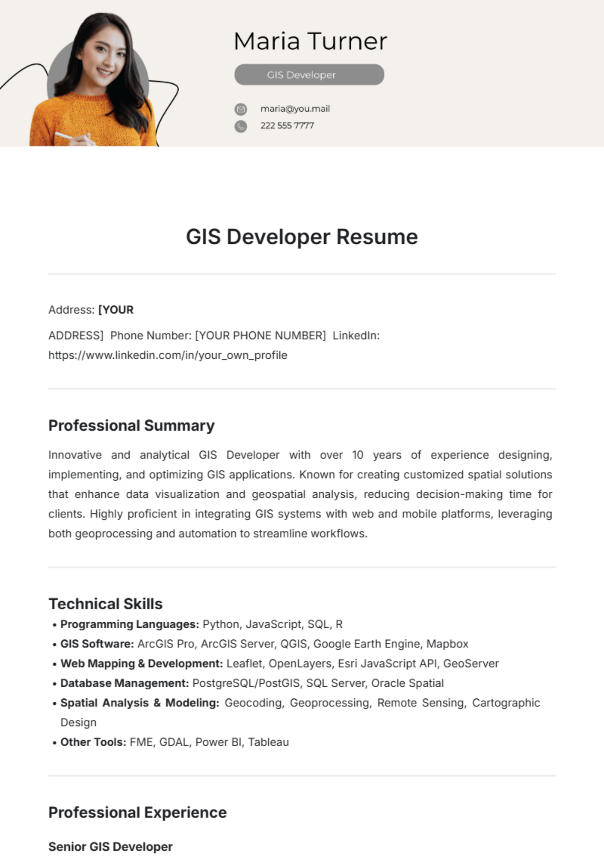 GIS Developer Resume Template