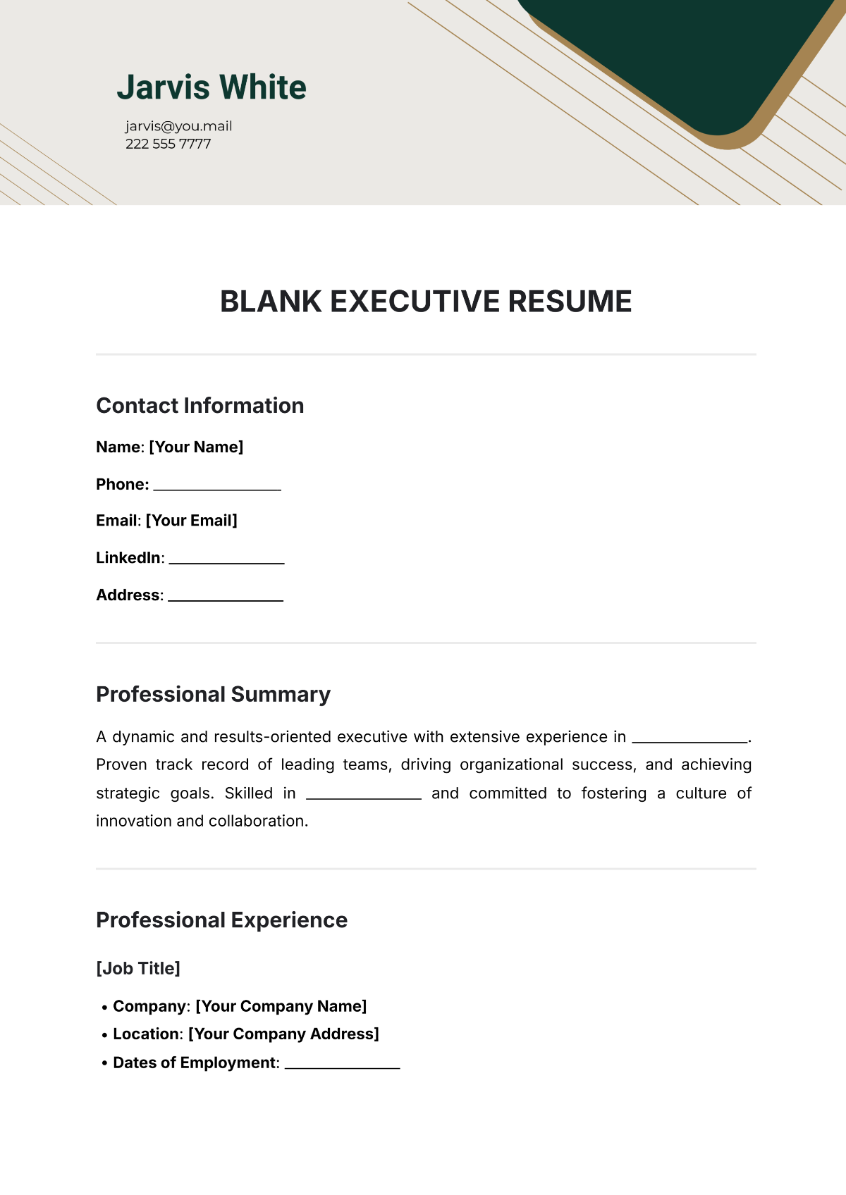 Blank Executive Resume Template