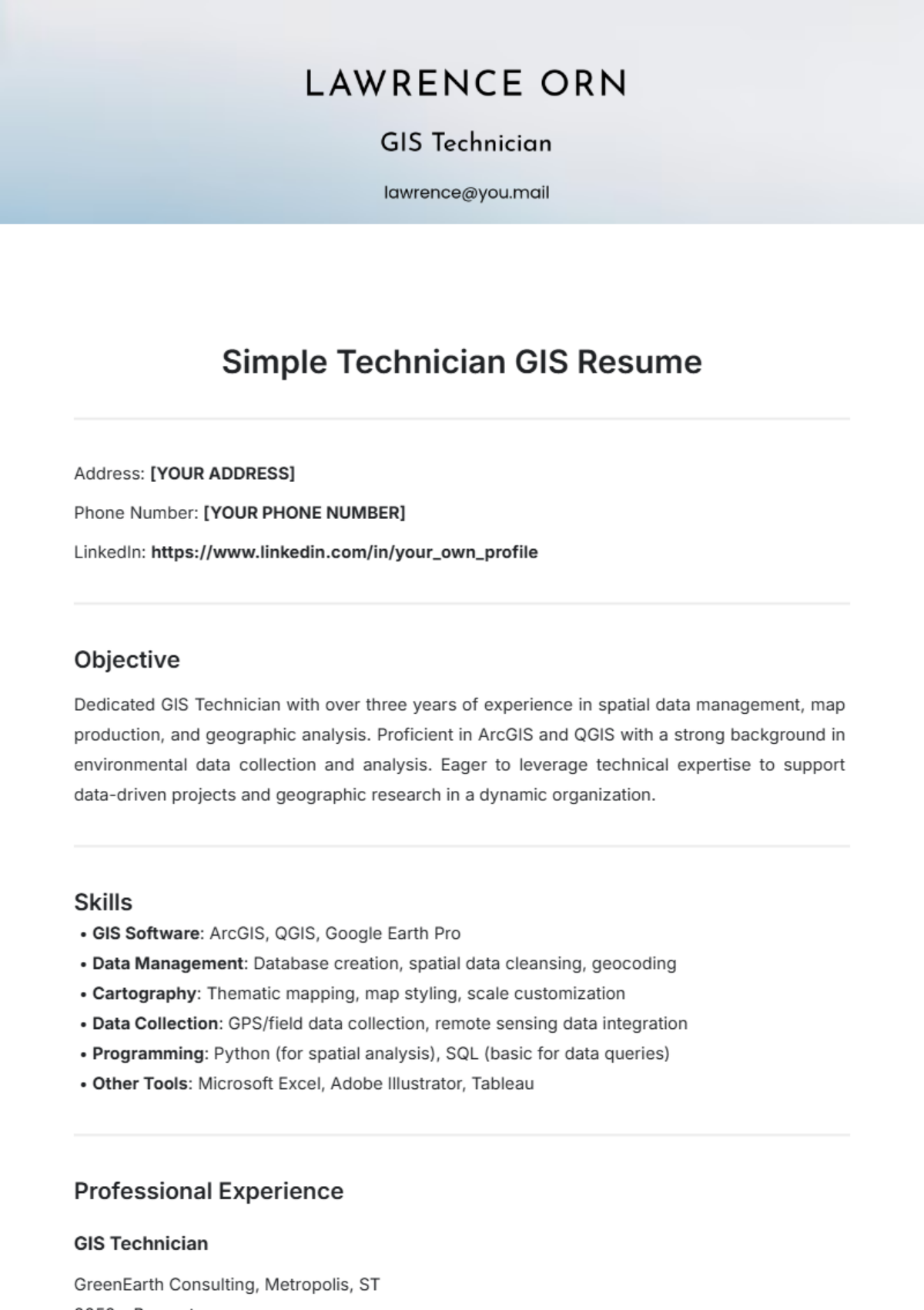 Simple Technician GIS Resume Template