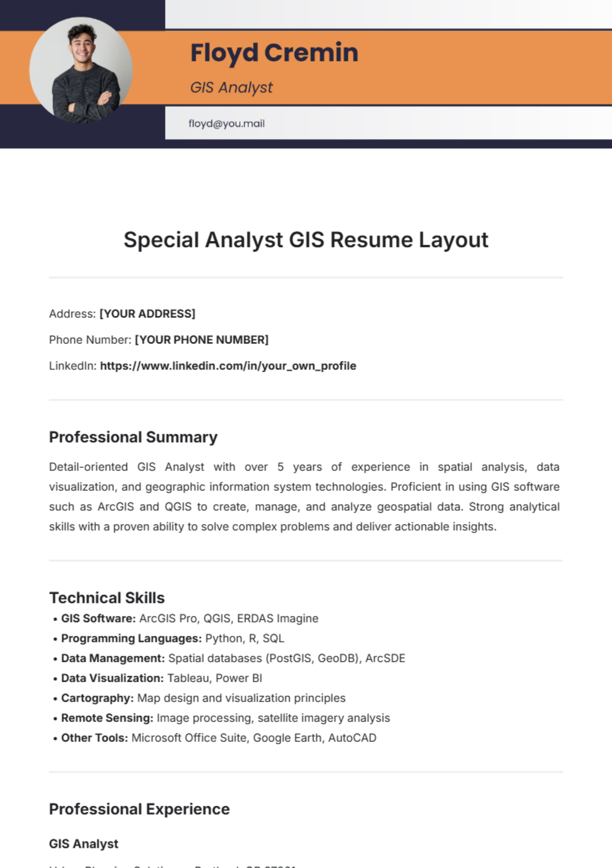 Special Analyst GIS Resume Layout Template