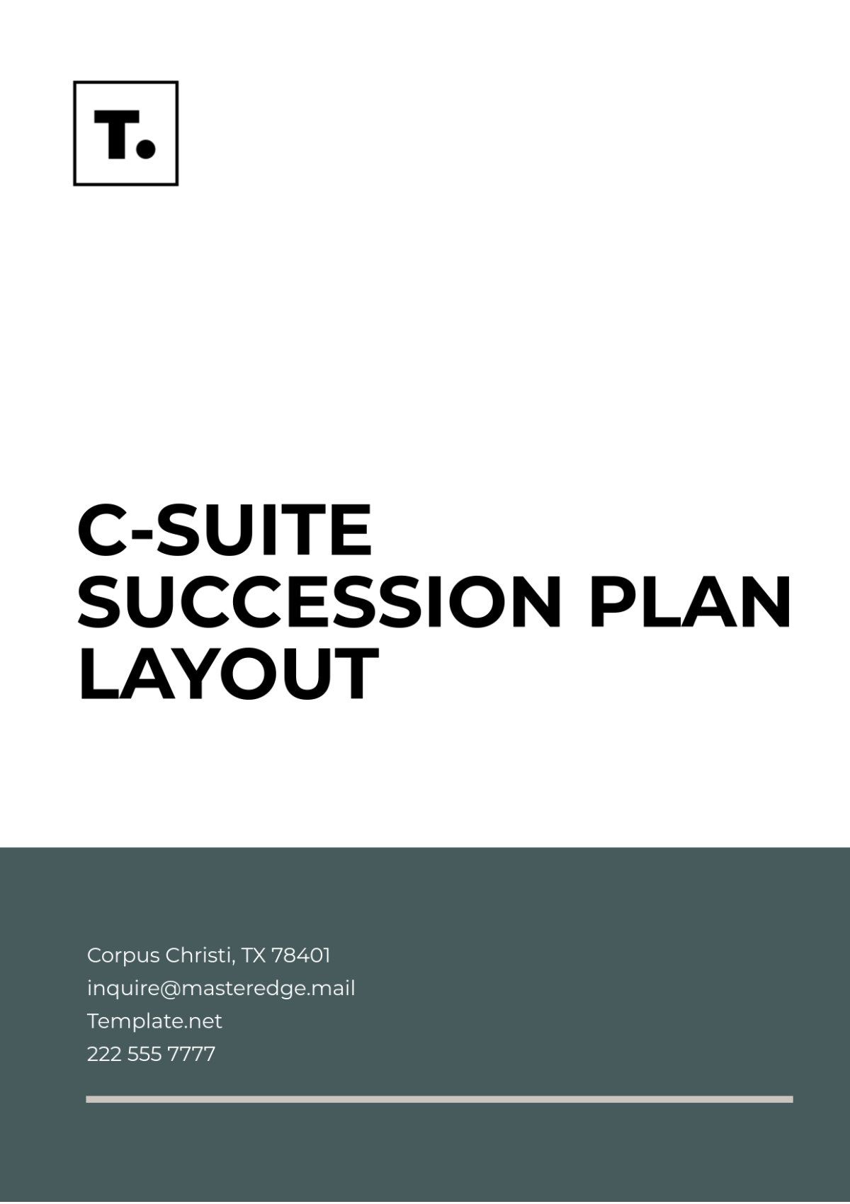 C-Suite Succession Plan Layout Template