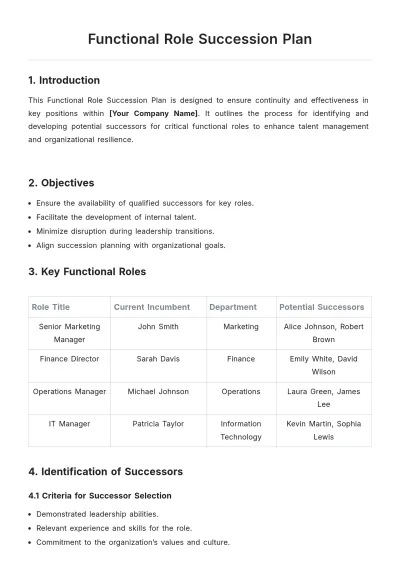 Free Functional Role Succession Plan Template to Edit Online