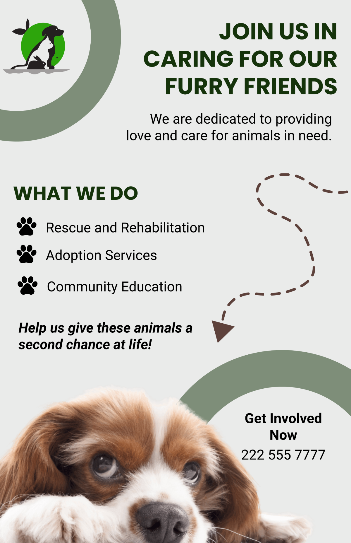 Free Animal Care Poster Template - Edit Online & Download | Template.net