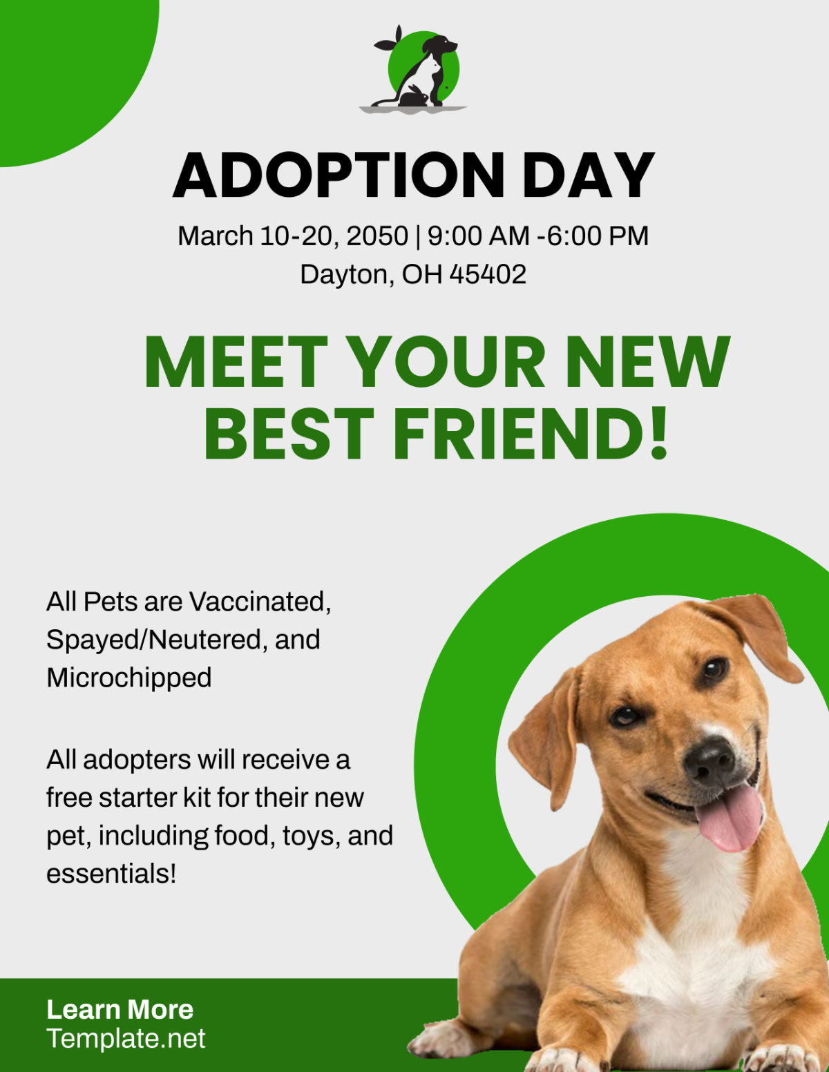 Animal Care Adoption Flyer Template - Download | Template.net