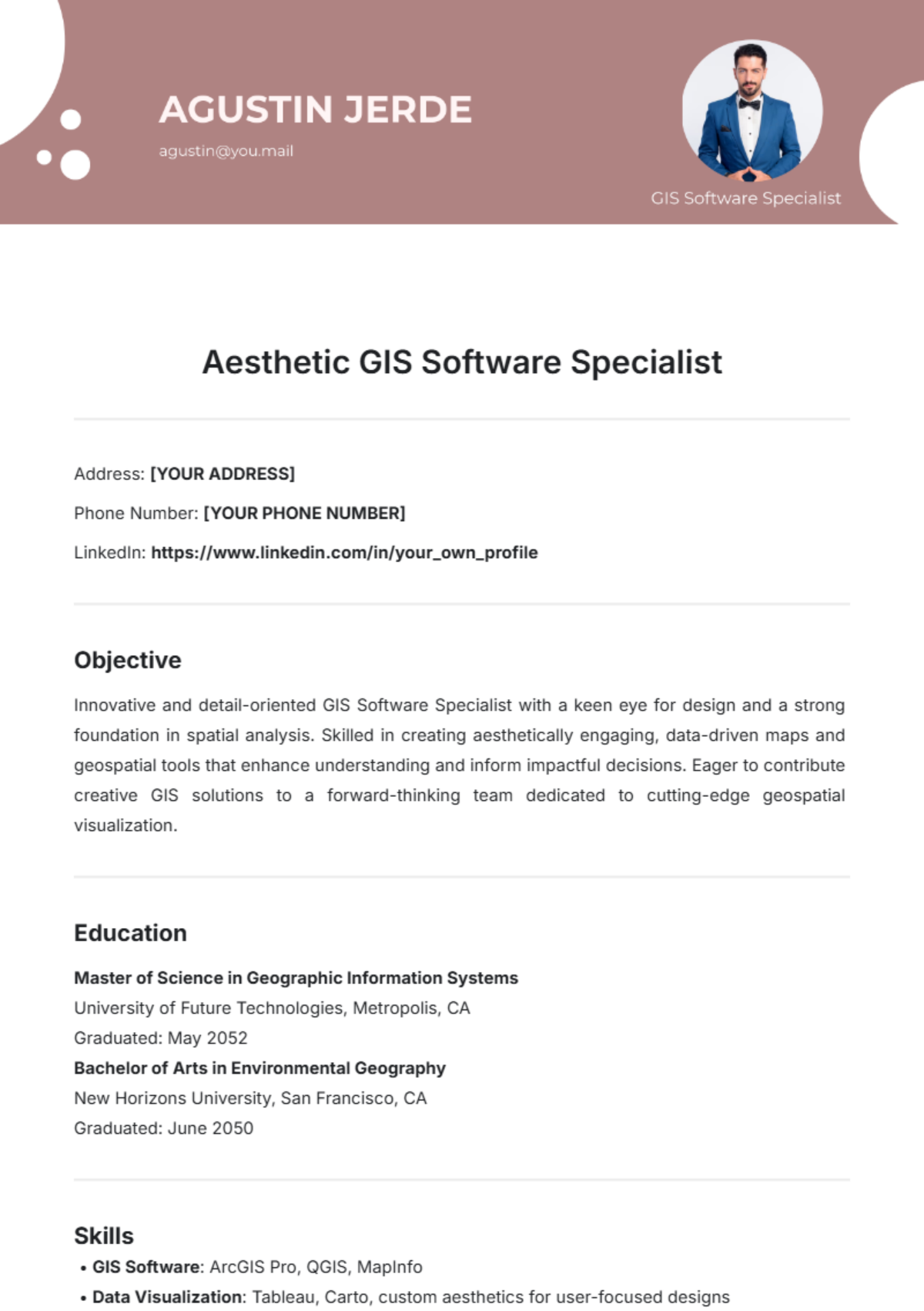 Aesthetic GIS Software Specialist Template