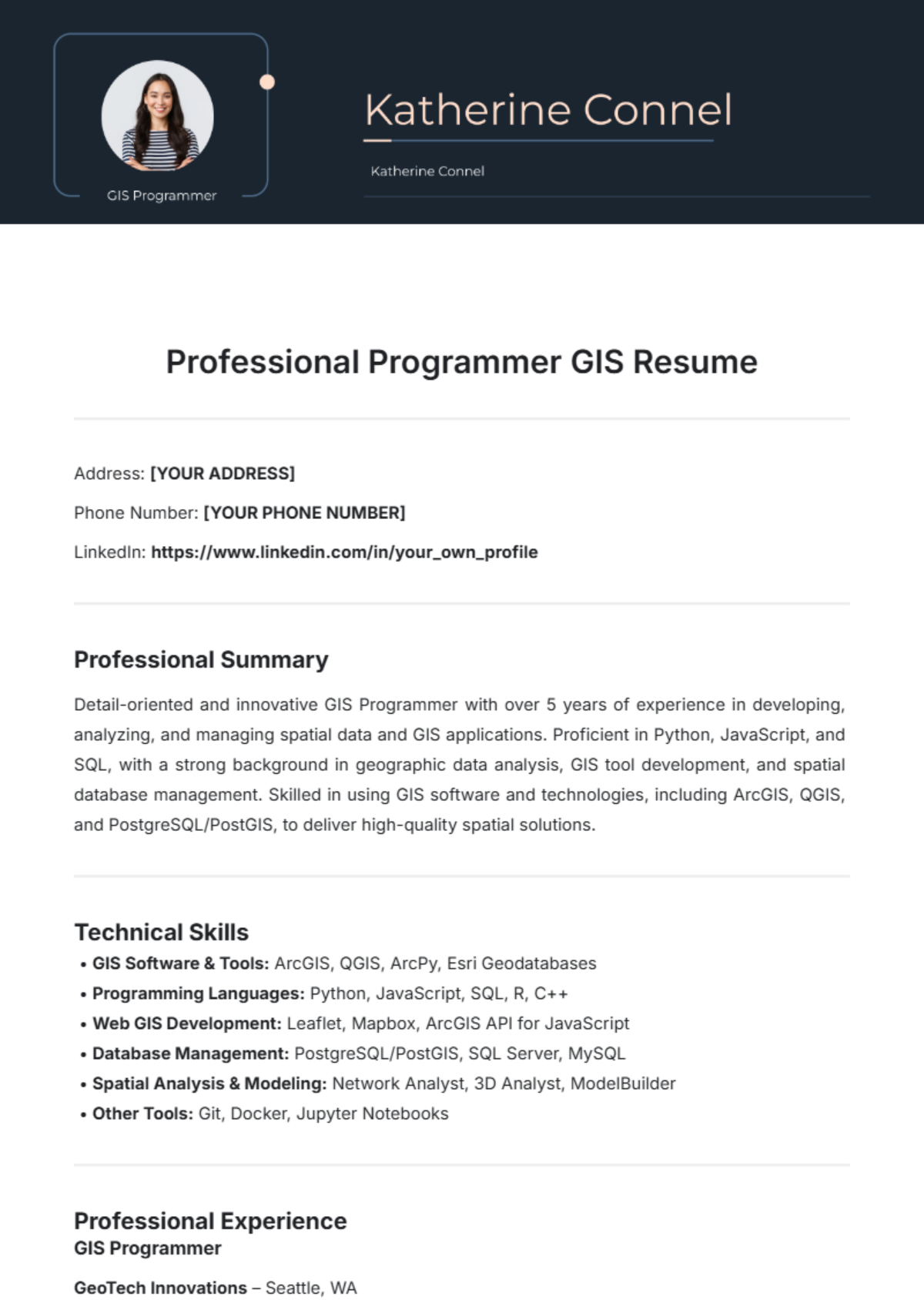 Free Professional Programmer GIS Resume Template - Edit Online ...