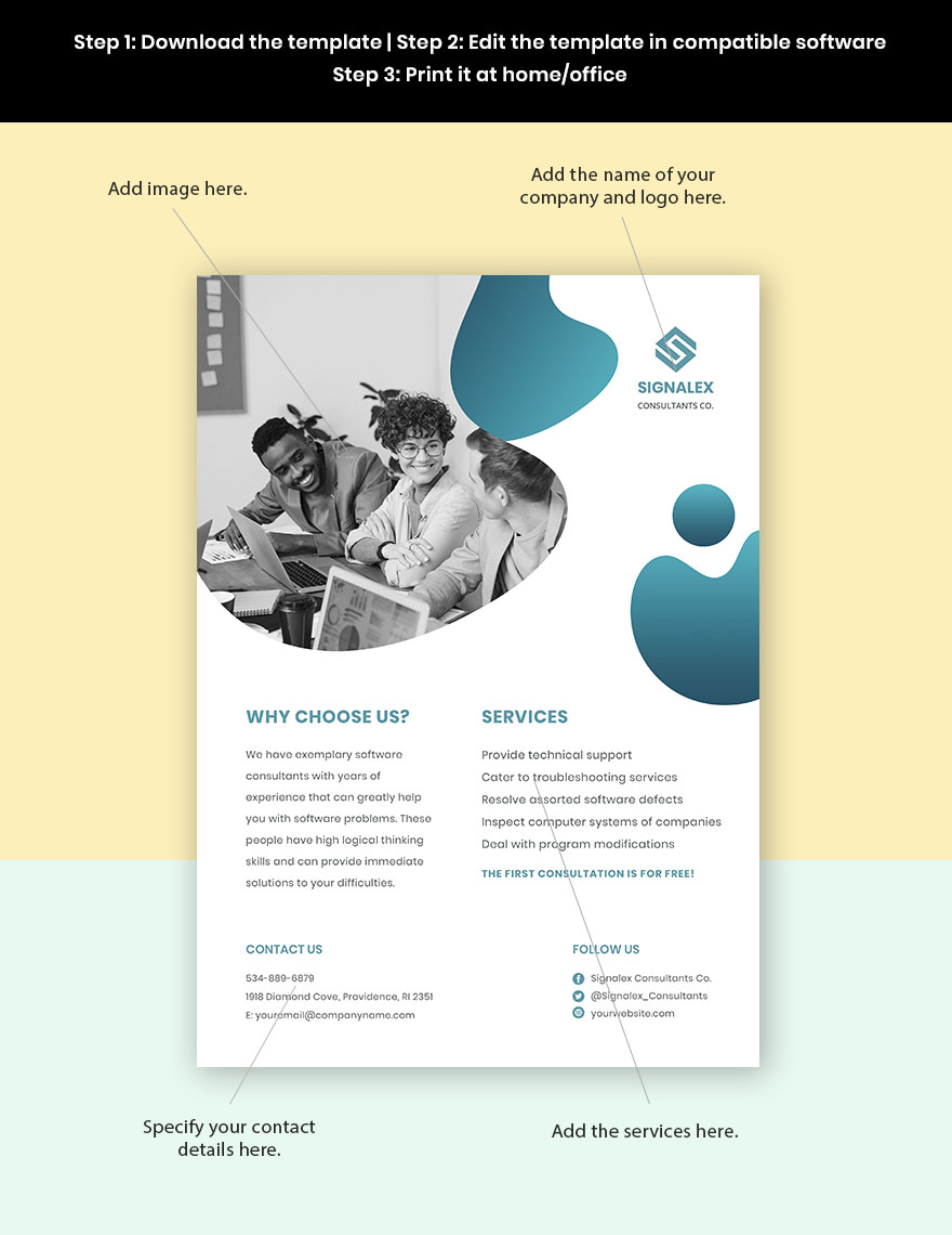 Software Consultant Flyer Template Format