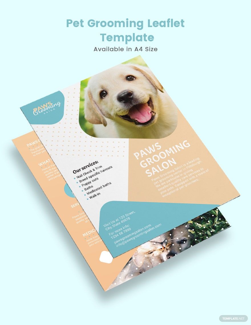 Pet Grooming Leaflet Template