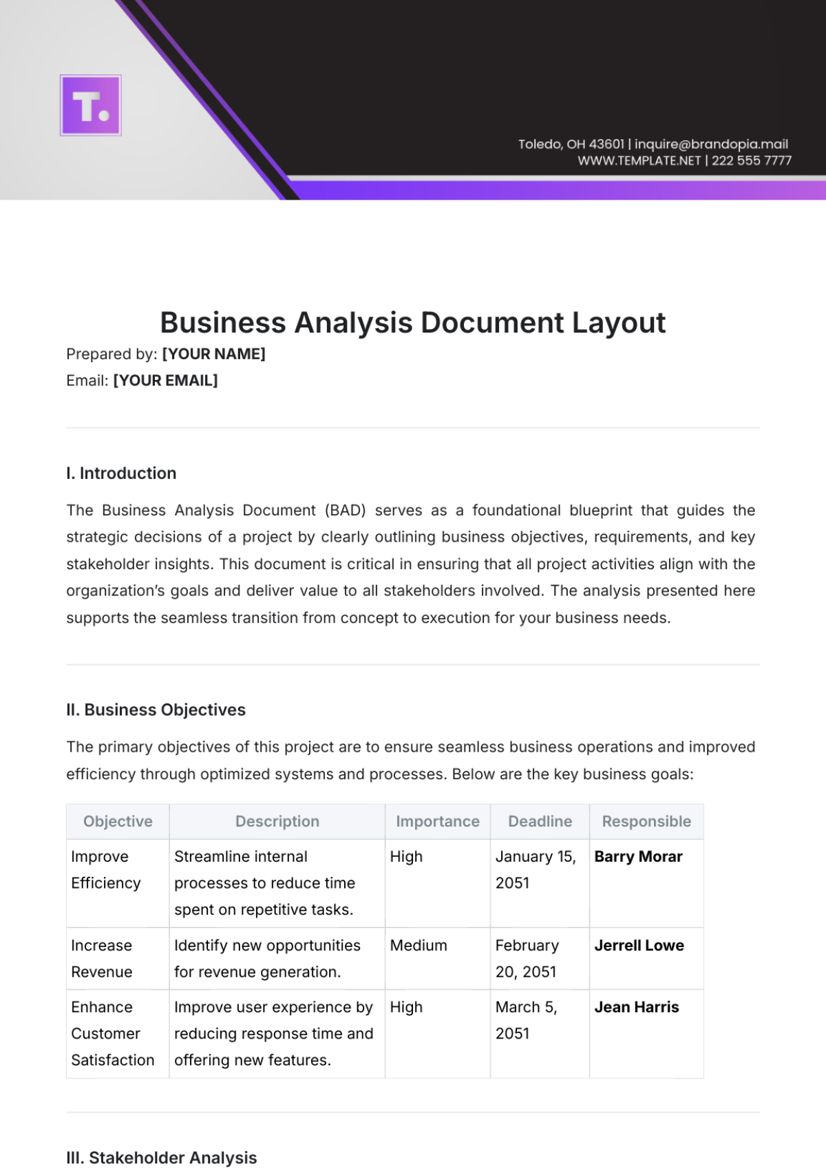 Business Analysis Document Layout Template