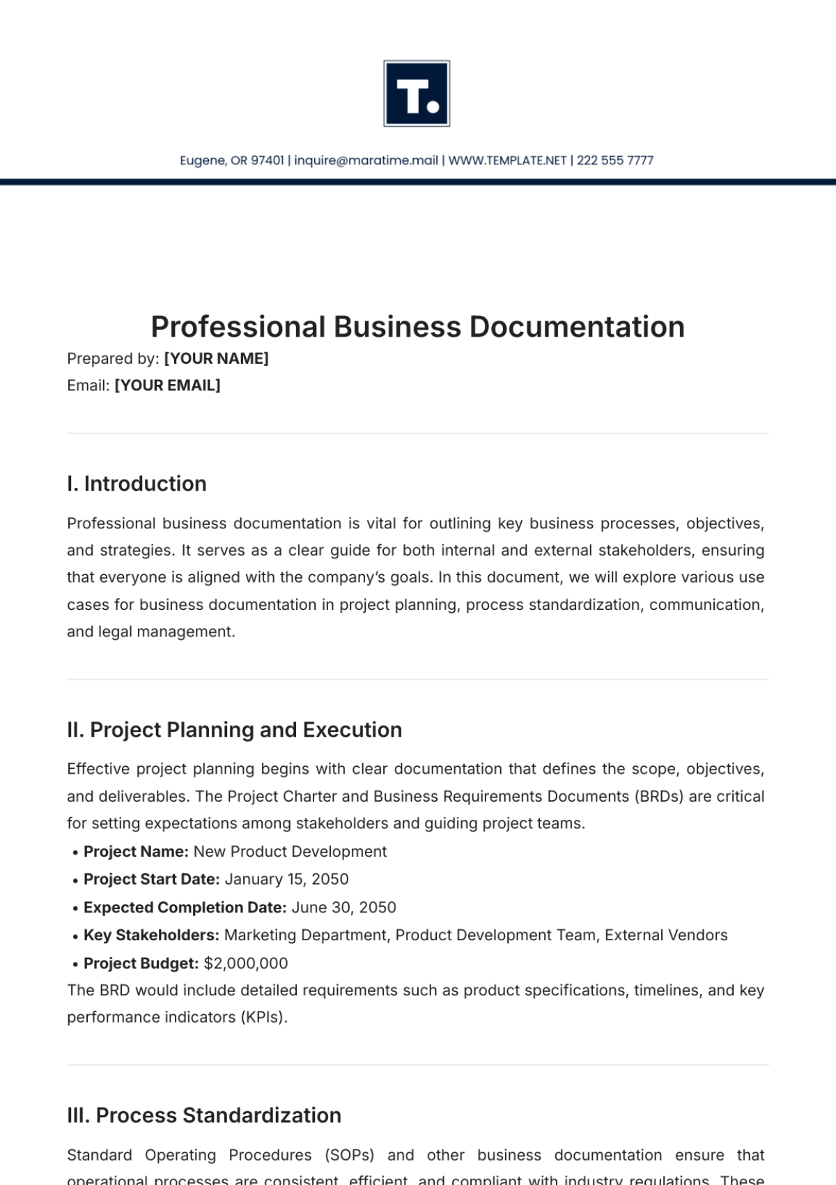 Professional Business Documentation Template