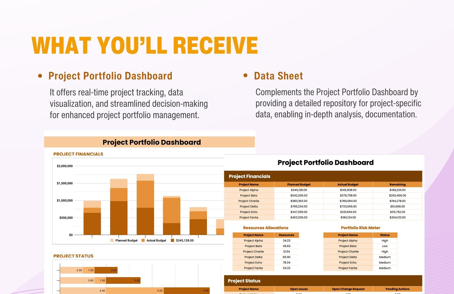 Project Portfolio Dashboard Template in Numbers, MS Excel, Google ...