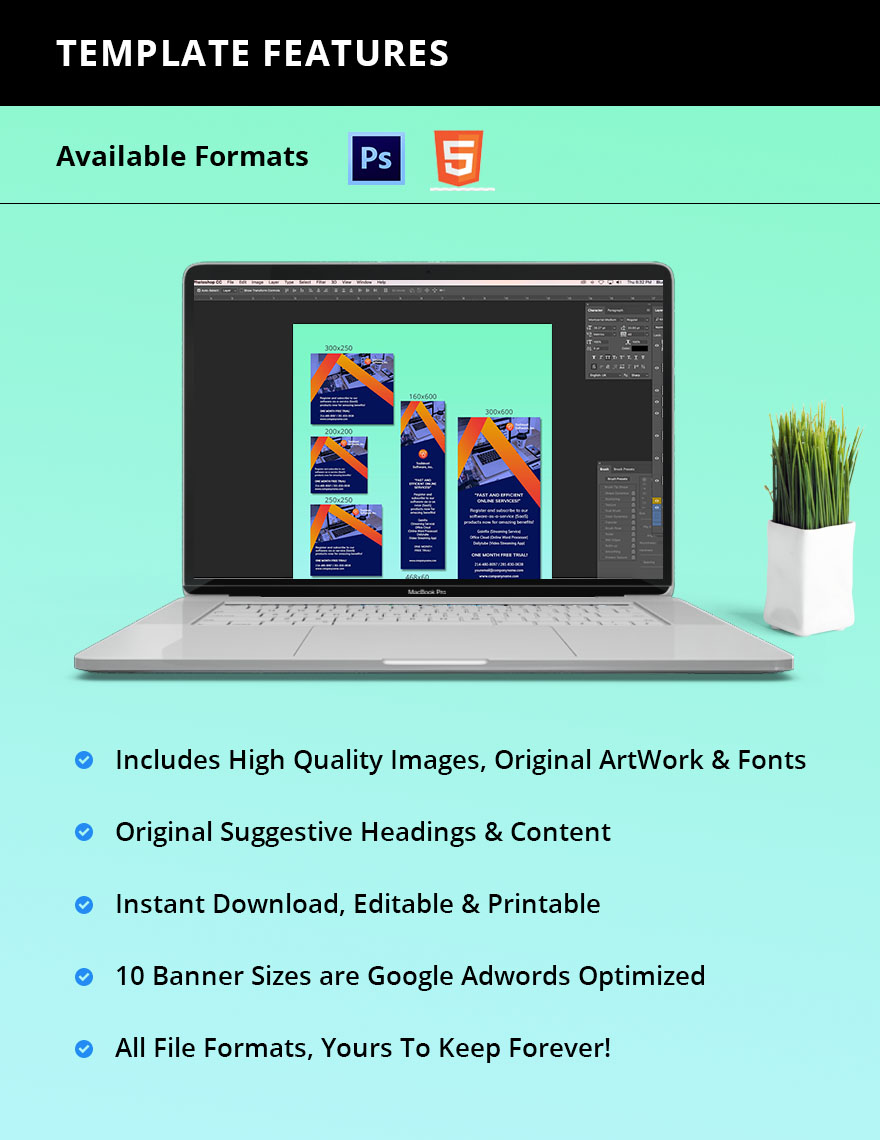 SaaS Banner Template Instruction