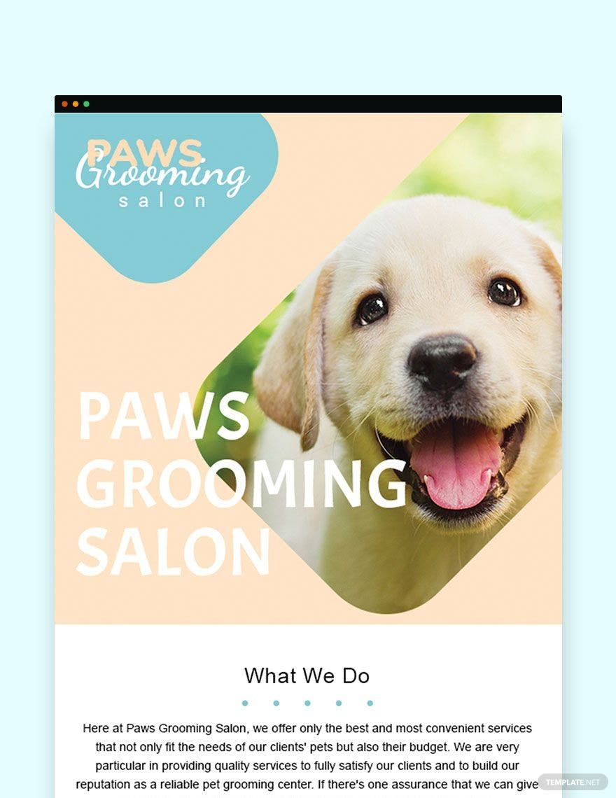 Free Pet Grooming Email Newsletter Template