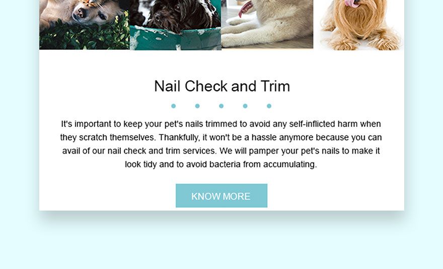 Pet Grooming Email Newsletter Template