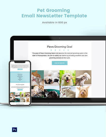 Pet Grooming Email Newsletter Template