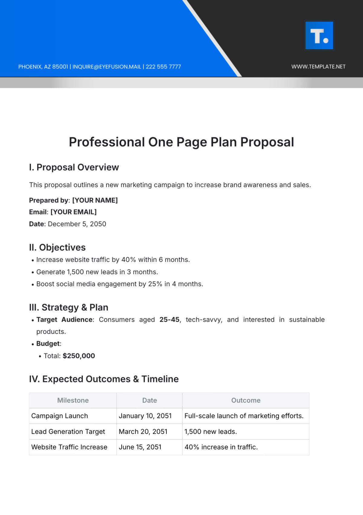 Professional One Page Plan Proposal Template