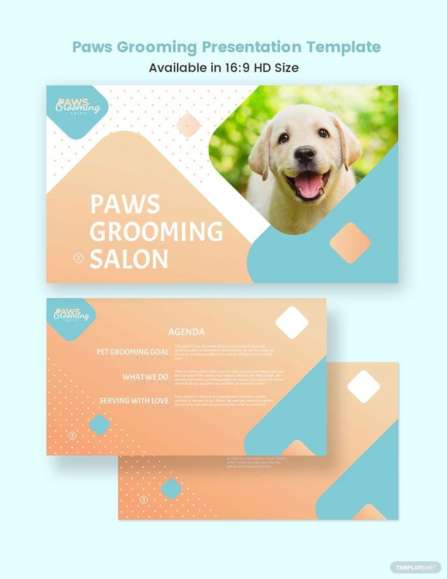 Free Pet Grooming Presentation Template