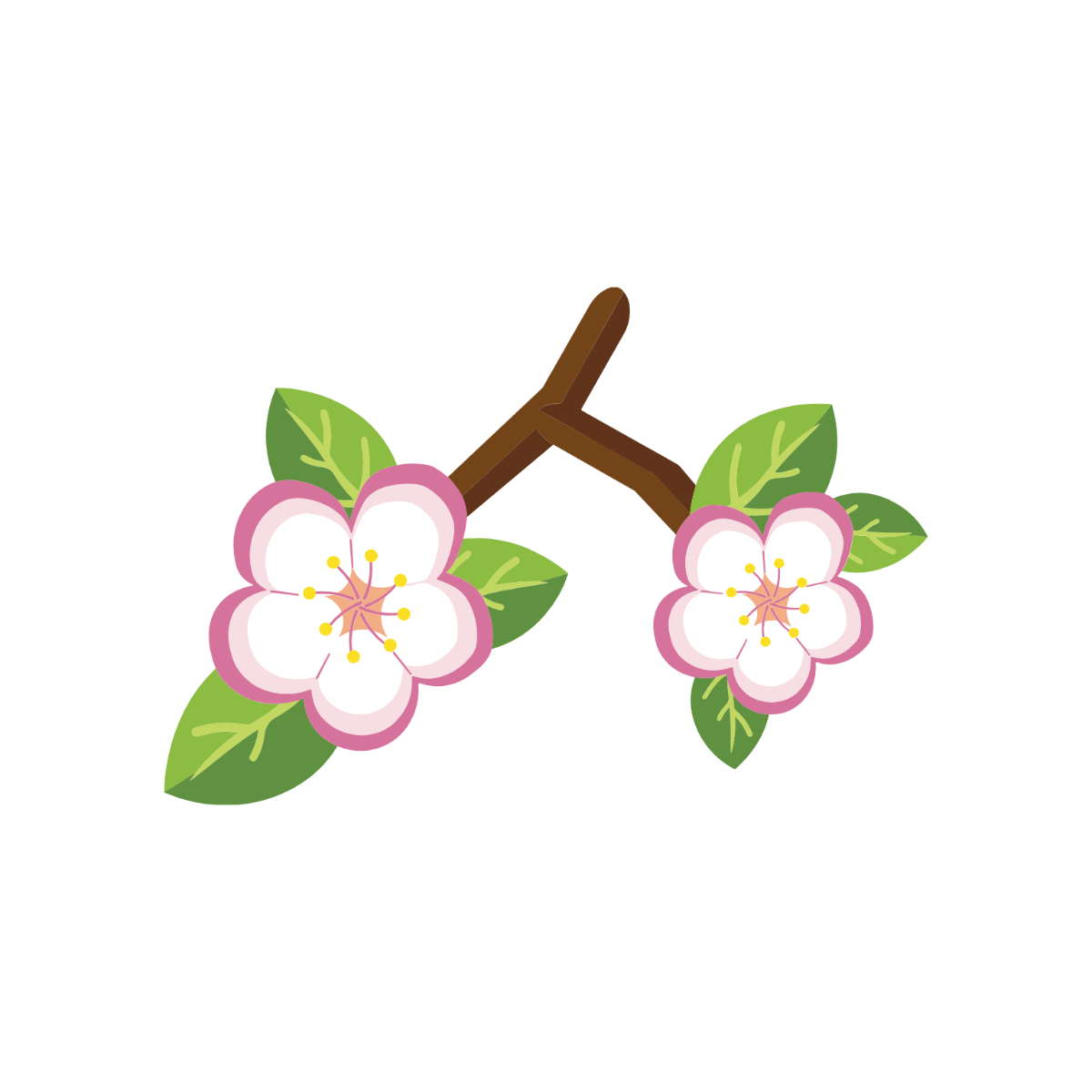 Apple Blossom Clipart