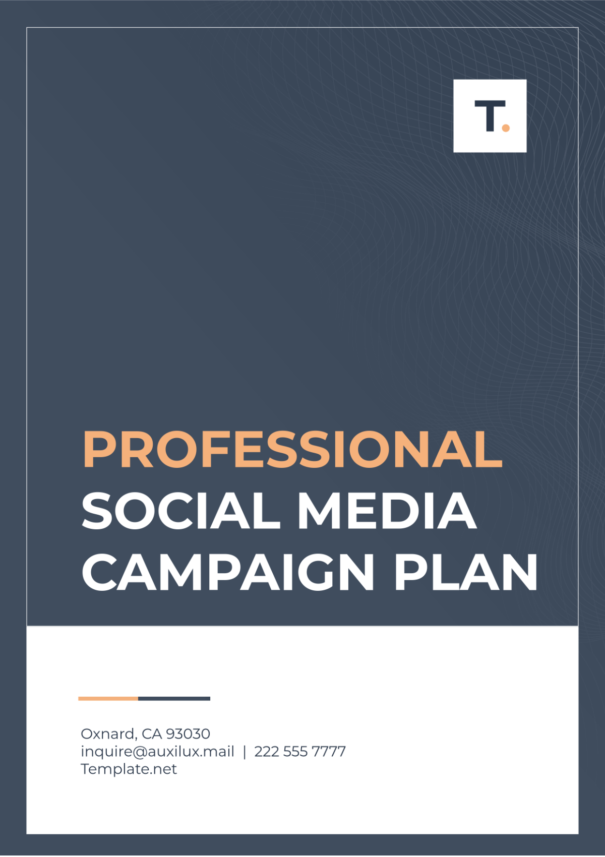 Professional Social Media Campaign Plan Template