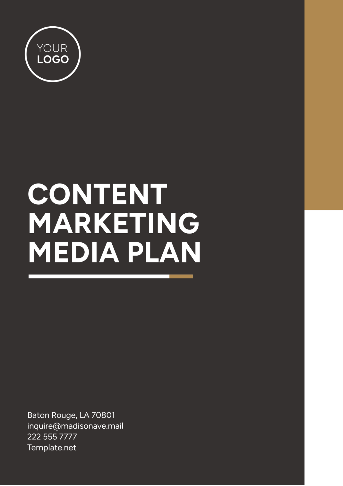 Content Marketing Media Plan Template